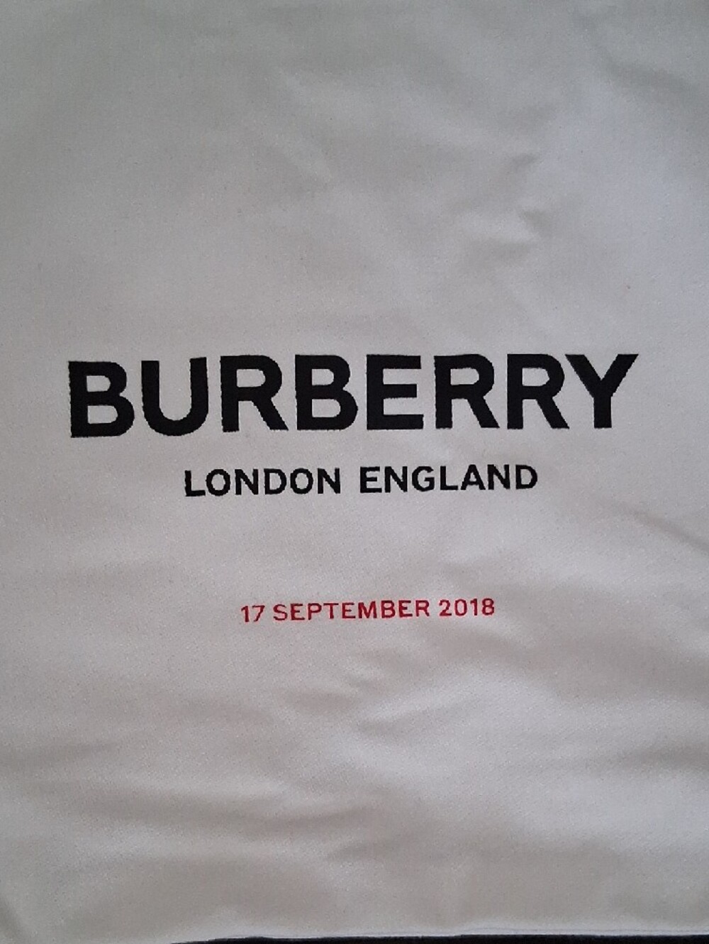 Burberry White Drawstring Backpack with Black Logo 2018 RARE Limited Edition - Picture 2 of 9